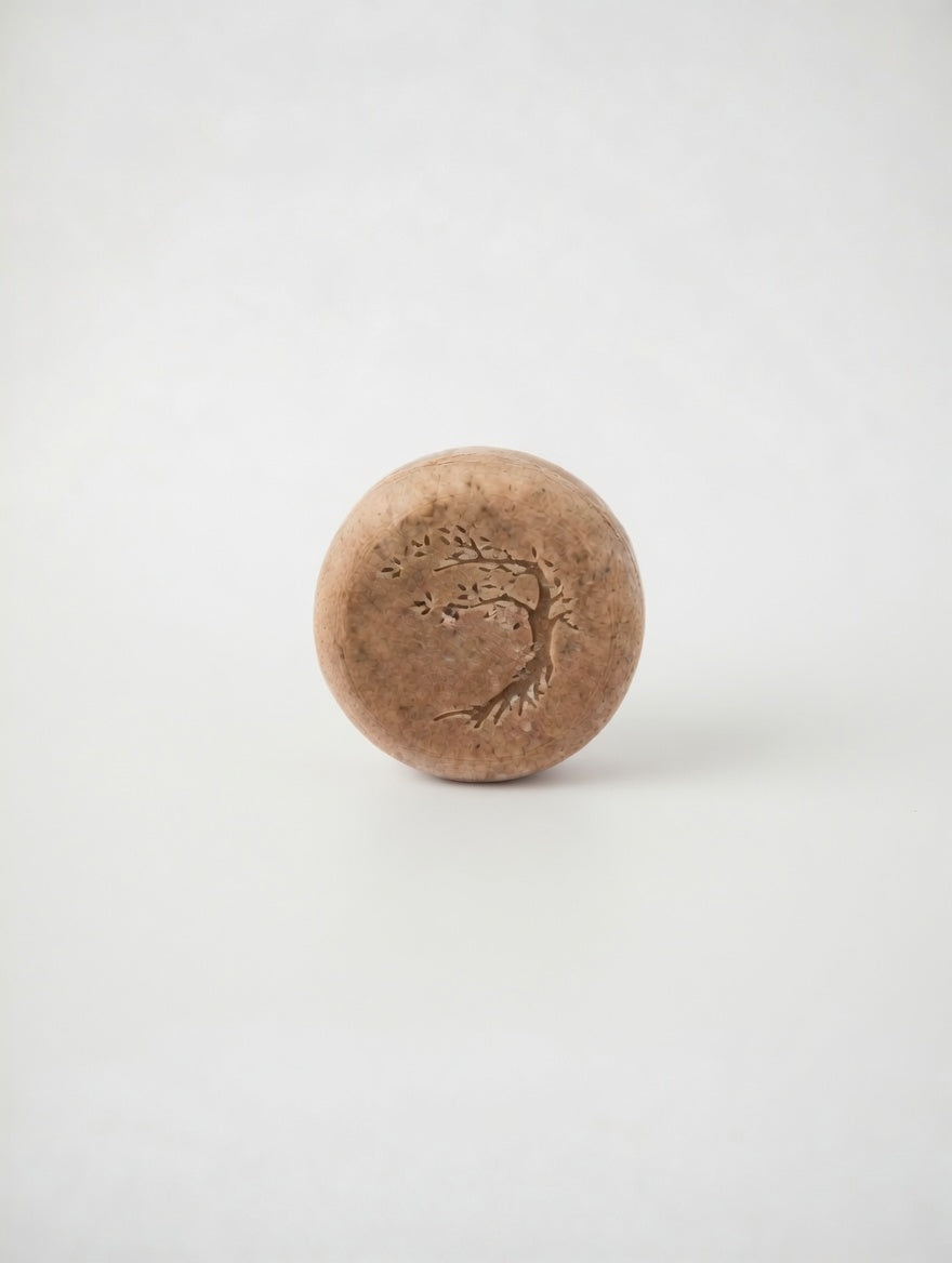 Frizz Away Solid Shampoo Bar