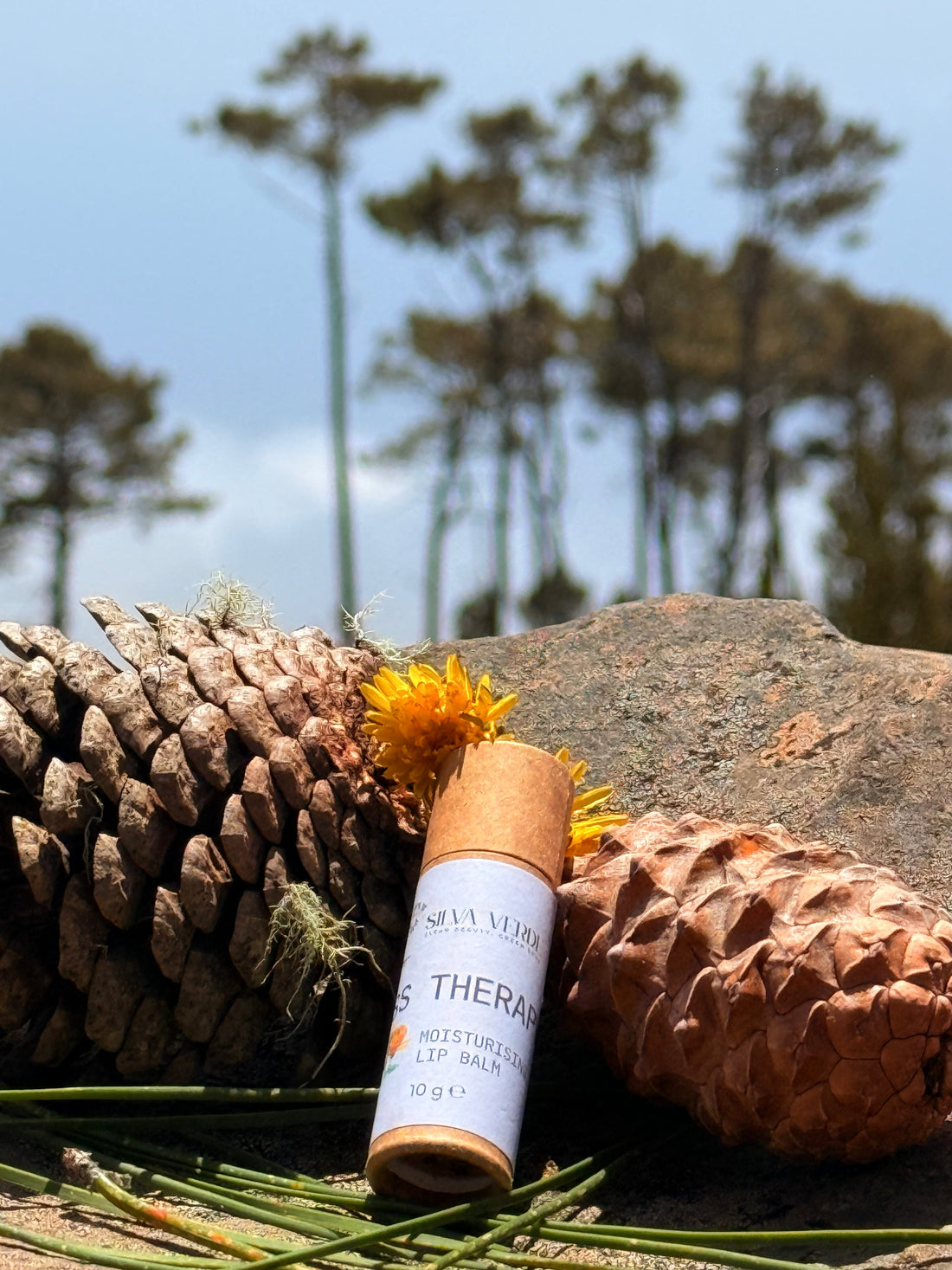 The Story Behind Silva Verde — Handmade Skincare from Madeira