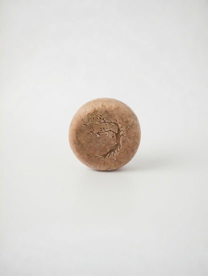 Frizz Away Solid Shampoo Bar